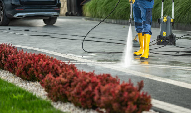 Best Sidewalk and Walkway Cleaning  in Fruitdale, CA